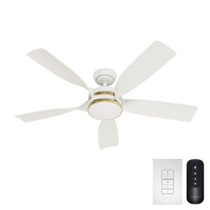 Julia Outdoor Energy Star DC with LED Light 52 inch with remote and wall control